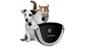 Blueberry adjustable breakaway cat collar. 10 Best Cat Cameras To Buy In 2021 Uk Review