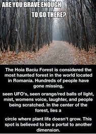 19 Creepy Facts That Ll Give You A Fright Creepy Facts Haunted Forest Hoia Baciu Forest