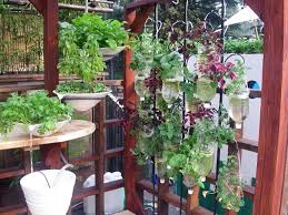 Tips taman minimalis di lahan yang sempit. Desain Taman Minimalis Di Lahan Sempit Belakang Rumah