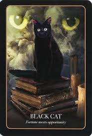 Pin By Cheryl Tarasawa Berberette On Magick Cats Gatos Magicos Black Cat Art Cat Art Magic Cat