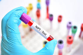 妊娠 検査 薬 陰性 から 陽性 ブログ