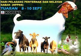 Check spelling or type a new query. Datang Ramai2 Meriahkan Hppns Kali Ni Di Tuaran 8 10 September 2017 1 Demo Silaj Tuan Jason 2 Talk Industri Kambing Perniagaan Sably Yusin 3 Talk Pengurusan Kesihatan Ternakan Tuan