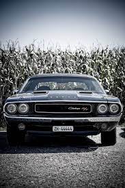 Dodge Charger American Muscle Cars Classic Cars Muscle Muscle Cars