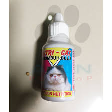 We did not find results for: Cara Untuk Melebatkan Bulu Kucing Bulu Kucing