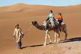 And a dromedary is a camel. Camel Riding In Israel Barcelona My Love