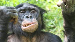 Maybe you would like to learn more about one of these? Animal Facts That Are Too Damn Sexy