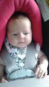 Majestica Bufala Obituary (2015)