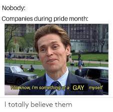 Companies during pride week meme. Nobody Companies During Pride Month You Know I M Something Of A Gay Myself I Totally Believe Them Reddit Meme On Me Me