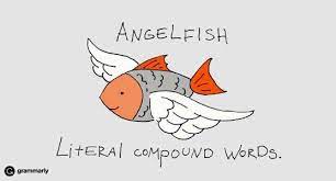 Grammarly Literal Compound Compound Words Visual Puns Funny Kids