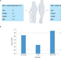 What is an optimal BMI after eighty? | Nature Aging
