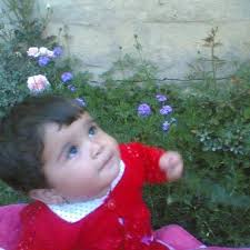 عجائب وغرائب الدنيا