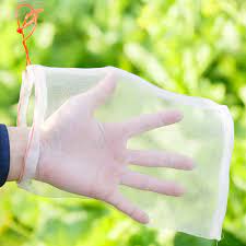 We did not find results for: Buy Online 50pcs Set Garden Netting Bags Vegetable Grapes Apples Fruit Protection Bag Pouch Agricultural Pest Control Anti Bird Mesh Bags Alitools