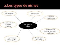 Exploiter Un Marche De Niche Ppt Telecharger