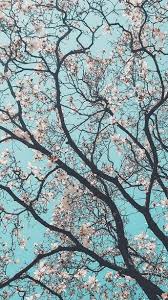 Wallpaper Mobile Wallpaper Wallpaper Iphone Solid Color Wallpaper Colorful Wa Bashir H Landscape Wallpaper Preppy Wallpaper Iphone Wallpaper Preppy