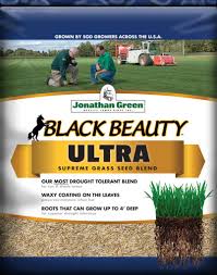 You actually do not need starter fertilizer for newly planted sod. Black Beauty Ultra Seed Starter Fertilizer Combo Outdoor Home Garden Supply