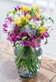 Lasst euch für euren hochzeitsstrauß inspirieren! Die 9 Besten Ideen Zu Freesien Blumenstrauss Freesien Blumenstrauss Blumenstrauss Hochzeitsblumen