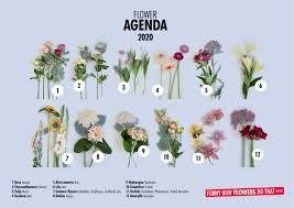 We did not find results for: Houseplants Of The Month And The Flower Agenda For 2020 Selected Flower Council
