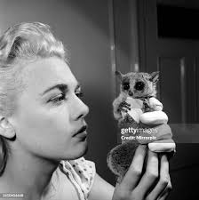 270 fotos e imágenes de alta resolución de Linda Stevens