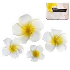 Well, for this lucky bride, her. Clothing Shoes Accessories 6cm Women Plumeria Flower Hair Clip Accessories Barrette Hawaiian Wedding Party Women