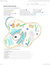 Cell membrane biology yup transportation coloring tumblr student teaching pictures. Biologycorner Com Animal Cell Coloring Key Cells Alive Animal Cell Worksheet Kids Activities Briefly Describe The Function Of The Cell Parts Jalur Ilmu