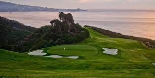 Torrey pines fine art photography artsy fartsy san diego surfing around the worlds waves ocean california. Torrey Pines North Offers Fresh Look