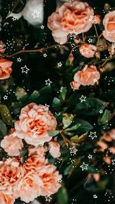Check out this fantastic collection of pink flowers aesthetic wallpapers, with 62 pink. Aesthetic Cute Flower Flowers Roses Stars Hd Mobile Wallpaper Peakpx