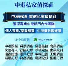 Image result for 香港壹偵探調查社