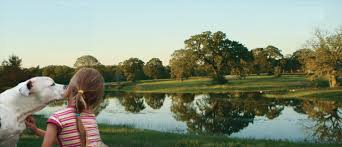 Consider having your entire family involved in making the there are no hard and fast rules when it comes to designing a pet funeral or memorial service. Live Oak Pet Services