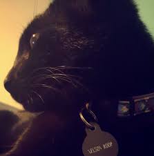 Profile for Nelson Roop