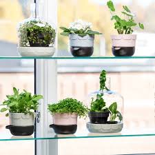 Pin Pa Pa Onskelisten