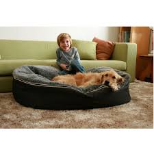 pet beds dog beds designer dog bean bags large size designer dog beds outdoor pet bed dog bed