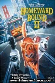 Din cate am vazut sezonul doi a inceput. Filme Online Subtitrate Hd Filme Noi Online Subtitrate Filme Gratis Online Subtitrate