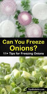 Here's what you should keep in mind: Can You Freeze Onions 11 Tips For Freezing Onions