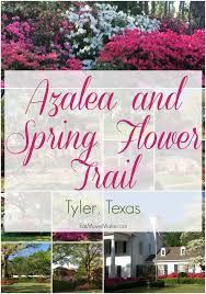 Maybe you would like to learn more about one of these? Azalea Trail Tyler Tx Historic Homes Bursting With Blooms