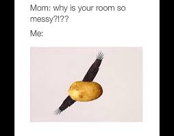 A potato flew around my room funny. A Potato Flew Around My Room Stupid Memes Fresh Memes Short Jokes
