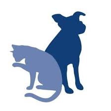 Come meet south point pet hospital's pets. Belmont Shore Veterinary Hospital Home Facebook