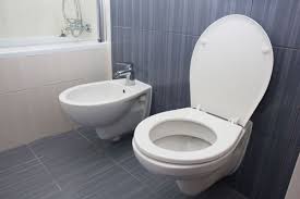 Papado lunette de wc clipsable personnalisable made in france. Vacant Self Indulgence Hardship Lunette De Wc Clipsable Idahoeconomics Com
