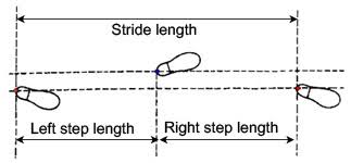 Walking In Graph