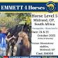 EMMETT 4 Horses - Level 5 - Midrand, GP, RSA - 24 event image
