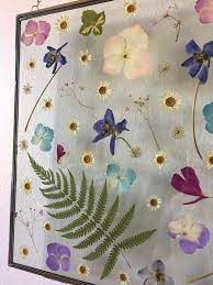 Find & download the most popular flower photos on freepik free for commercial use high quality images over 10 million stock photos. Glass Shadow Box Adjustable Pendant Necklace Pressed Dried Flower Floating Glass Medallion White Lace Orlaya Grandiflora Queen Annes Lace Jewelry Necklaces Valresa Com