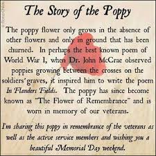 Poppy Veterans Day Quotes Memorial Day Quotes Remembrance Day