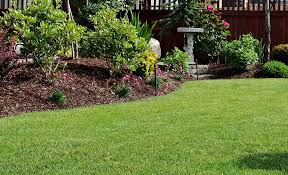 If you live in a place that doesn't get a lot of rainfall, you may want to consider a drought tolerant front yard without grass, to keep your own maintenance costs low. Front Yard Landscaping Ideas The Home Depot