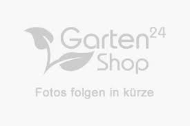 We did not find results for: Ausstattung