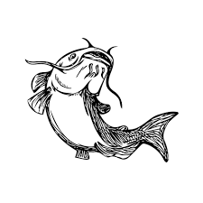 Catfish Mud Cat Jumping Up Black And White Drawing Download Free Vectors Clipart Graphics Vector Art