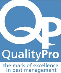 We do provide pest control service in abu dhabi city and nearby areas. Orkin Villa Rica Ga 855 833 7518