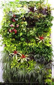 25 Colorful Foliage Ideas Foliage Plants List Foliage Garden Vertical Garden Design Wall Garden Wall Garden Indoor