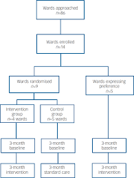 Image result for Broset Violence Checklist