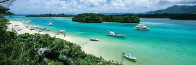 Iriomote is sometimes referred to as the 'galapagos of japan' and is covered in lush forest and jungle which is home to a plethora of exotic flora and fauna. Yaeyama Islands Travel Guide What To Do On The Yaeyama Islands In Okinawa