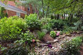 This keeps water from stagnating and mosquitoes from breeding. 5 Easy Steps To Make A Rain Garden Better Homes Gardens