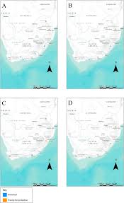 Image result for Dioscorea cochleari-apiculata